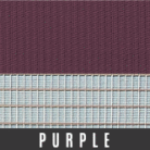 purple-1