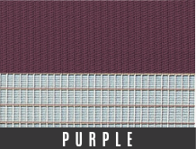 purple-1